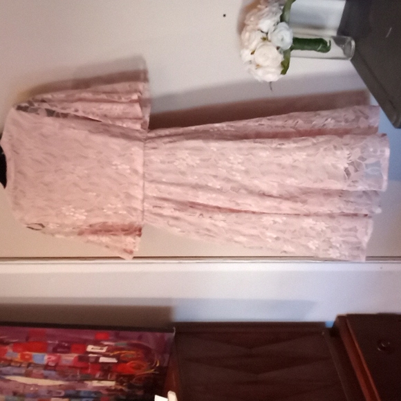 Blush Pink Lace Dress - Picture 11 of 12